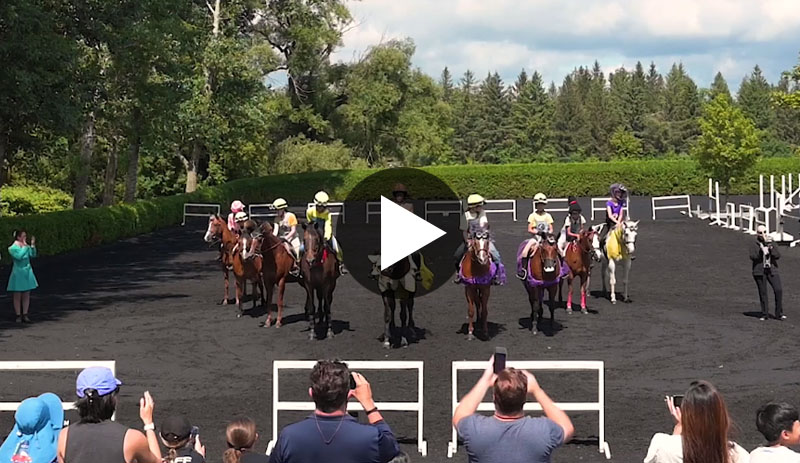 York Equestrian Riding School Musical Ride Toronto Ontario