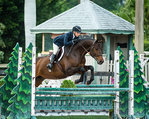 Mary Skey Equestrian Coach Riding Instructor Hunter Jumper